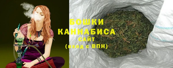 apvp Осинники