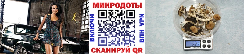 цена   Инсар  OMG ONION  Псилоцибиновые грибы ЛСД 